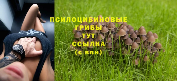 мет Карпинск