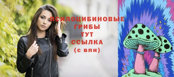 мет Карпинск
