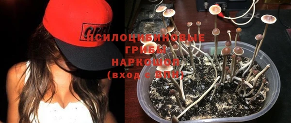 хмурый Карталы