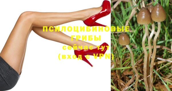 jwh Касимов